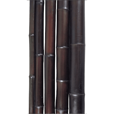 銘竹 染黒竹 1,950×12-株式会社永井銘木店