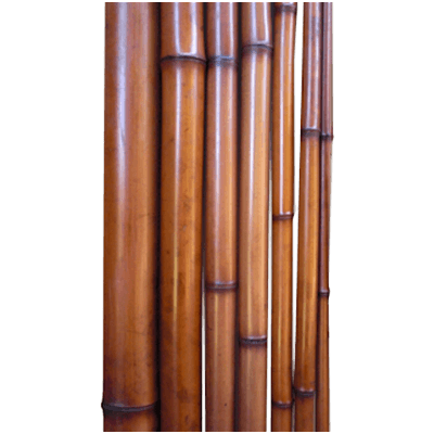 銘竹 染薄茶竹 1,950×12-株式会社永井銘木店