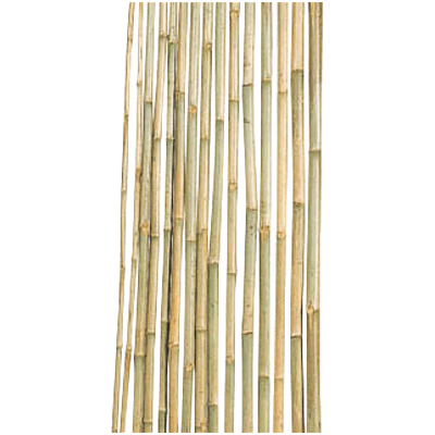 銘竹 寒竹 1,950×7.5-株式会社永井銘木店