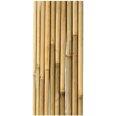 銘竹 矢竹 1,950×9-株式会社永井銘木店