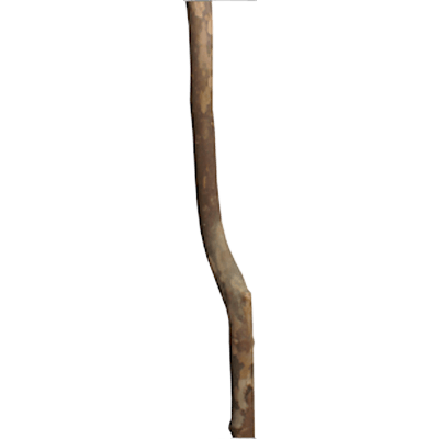 床柱 赤松 中曲変木-株式会社永井銘木店