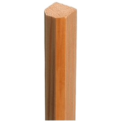 竿縁 白面皮天井竿-株式会社永井銘木店