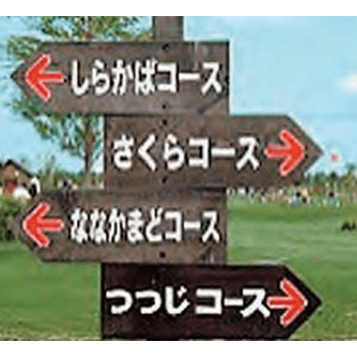 パークゴルフコース用品 コース案内板 (カラマツ) NTX-CH008-株式会社ニッタクス