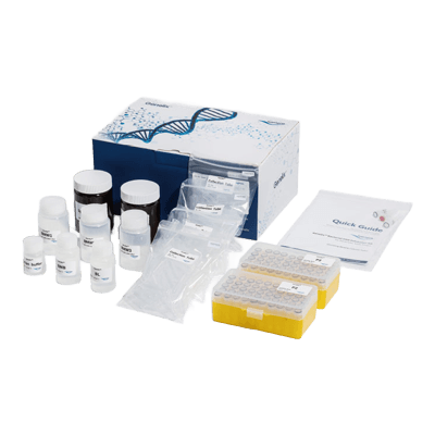 Genelix™ 細菌DNA抽出キット-株式会社協和医療器