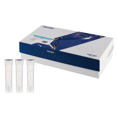 Genelix™ 細菌DNA迅速抽出キット (ビーズタイプ)-株式会社協和医療器