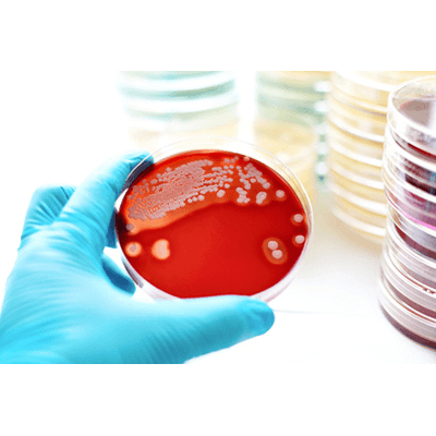 防腐剤 ファインサイド®「C」シリーズ-東京ファインケミカル株式会社