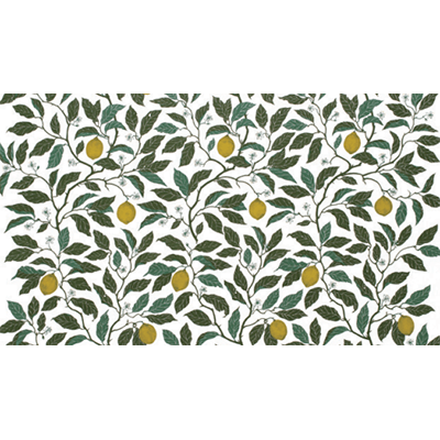 カーテン＆テキスタイル Citrus Limon (シトラスレモン) 0119-0520 14-株式会社北洋交易