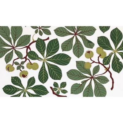 カーテン＆テキスタイル Kastanj (カスタニー) 1118-0545 60-株式会社北洋交易