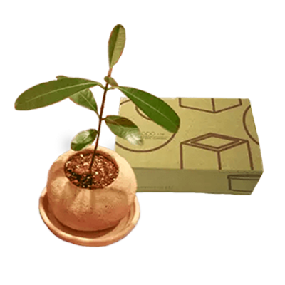オリジナル植木鉢キット ecopo-田川産業株式会社