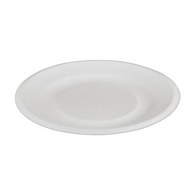 生分解性食品容器 使い捨て紙皿 バガスプレート P002-GeoTegrityInternational