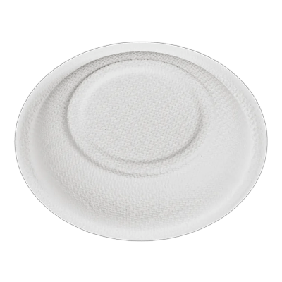 卸売生分解性食器使い捨てサトウキビバガスパルプミディアムポーションプレートディナー P019-GeoTegrityInternational