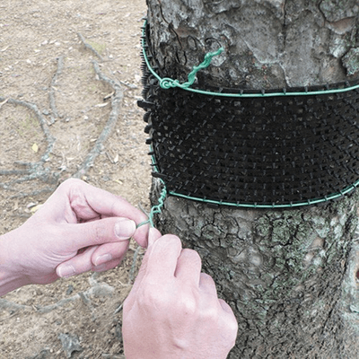 鳥獣害防止用品 小動物痛がーる EG-56-ミツギロン工業株式会社