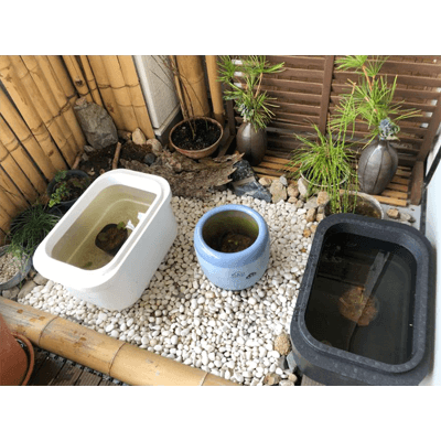 めだか飼育に最適 フォーム資材 メダカの発泡スチロール水槽鉢・黒白セット・24L大容量-大竜化成株式会社