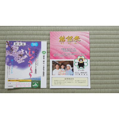 国産 イ草 品質にこだわるならコレ 熊本県八代産 ひのさくら 新畳-株式会社市戸畳商店