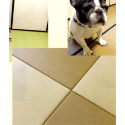 わんにゃんスマイル畳 (ペット用畳、介護用畳) 縁無し新畳半畳-株式会社市戸畳商店