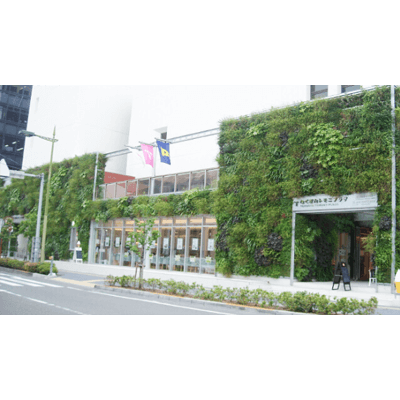 壁面緑化 パラビエンタ (ユニット型)-共同カイテック株式会社