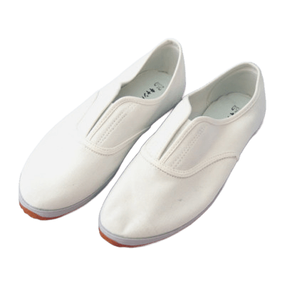 作業靴全般 キャンバスワーク NT-02-株式会社だいこく