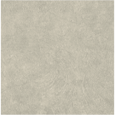 外装床 セメントを左官職人がコテで描いたようなテクスチャーを表現 アーキレイジン-株式会社Thic