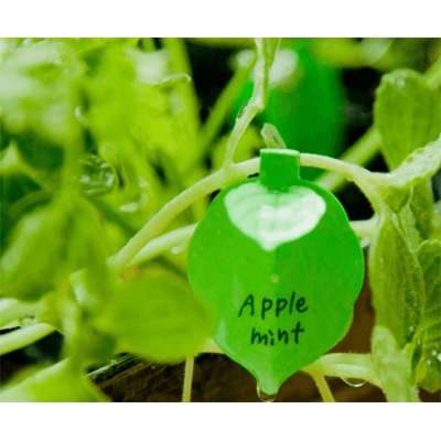 TAGGED for Garden-株式会社共生社