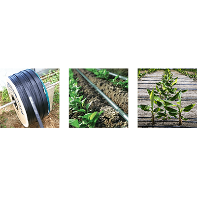 農業資材 イスラエルの点滴灌水チューブ LIN/Metzer-株式会社ケーアイエヌ