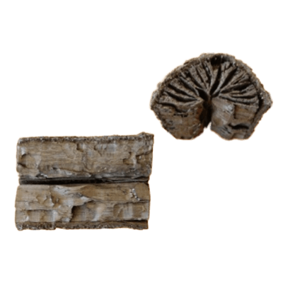 茶道 道具炭 大分椚炭 (炉用) 割毬打7.6cm径4.2-5.2cm 稽古用-株式会社ONグループ