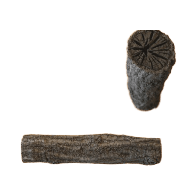 茶道 道具炭 大分椚炭 (炉用) 丸管15.2cm径2.2-3.2cm 稽古用-株式会社ONグループ