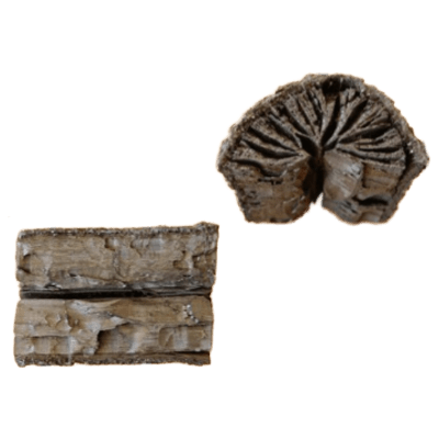 茶道 道具炭 大分椚炭 (風炉用) 割毬打6.1cm径3.4-4.5cm 稽古用-株式会社ONグループ