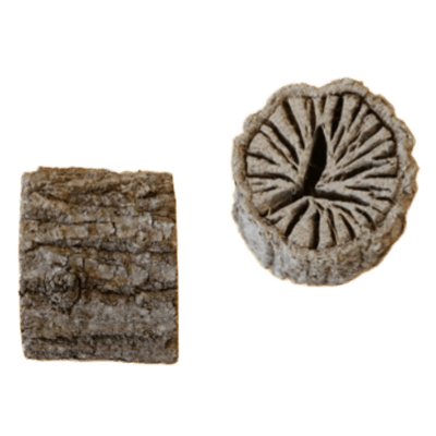 茶道 道具炭 大分椚炭 (風炉用) 輪胴4.5cm径4.3-5.3cm 稽古用-株式会社ONグループ