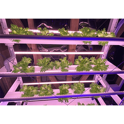 縦型水耕栽培ユニット-株式会社オムニア・コンチェルト