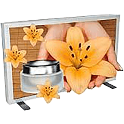 TRIDELITY®裸眼立体 (グラスレス3D) ディスプレイ MV5700-旭エレクトロニクス株式会社