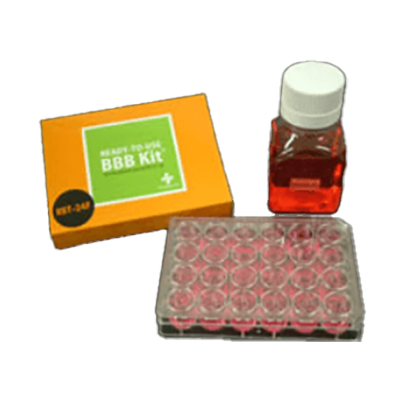 脳内移行性検定特化型 (低分子から巨大分子・細胞まで) ラット型BBBキットTM RBT-24F-ファーマコセル株式会社