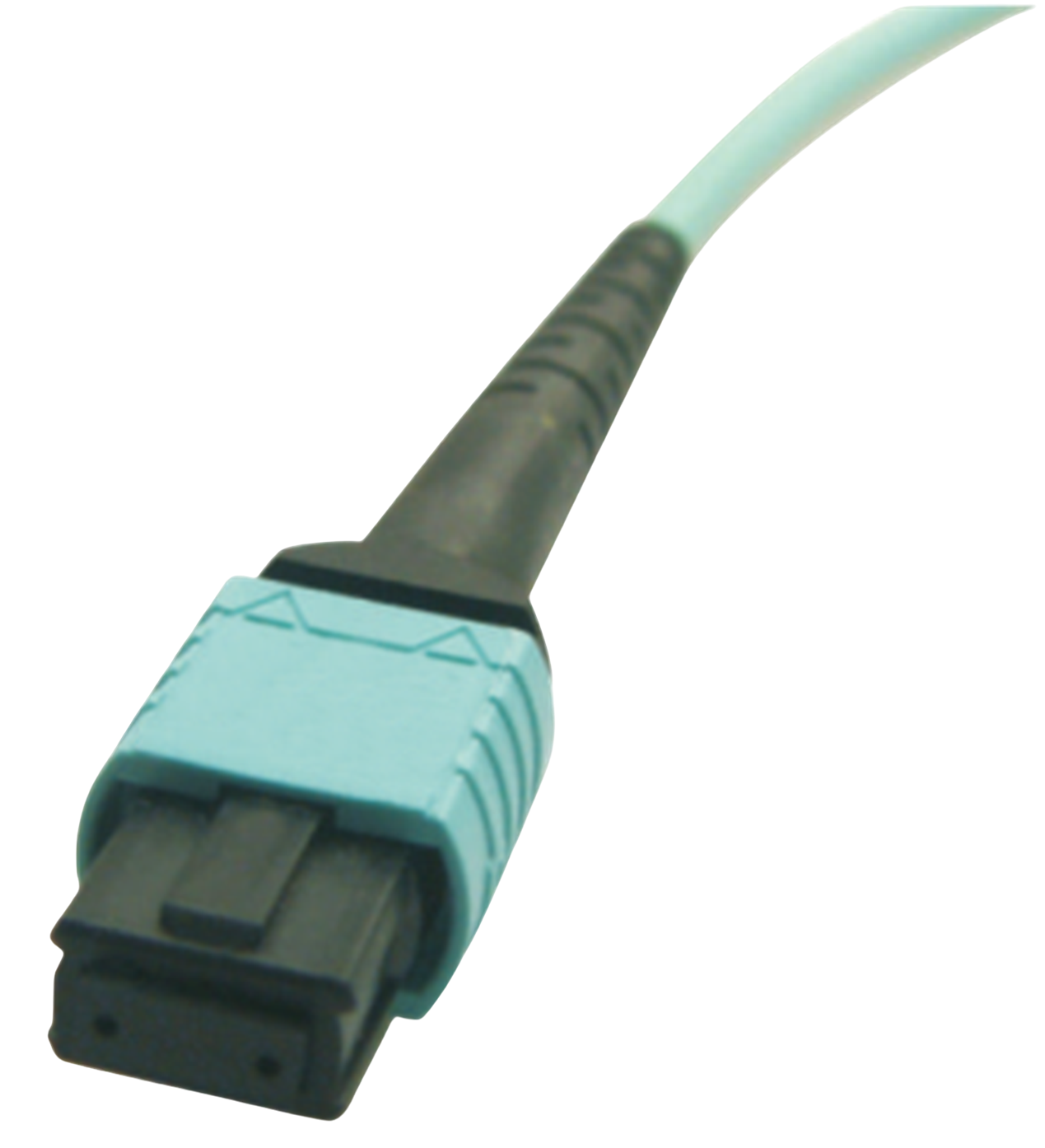 MPO パッチコード MPO3312-イーウェーブネットワークス株式会社
