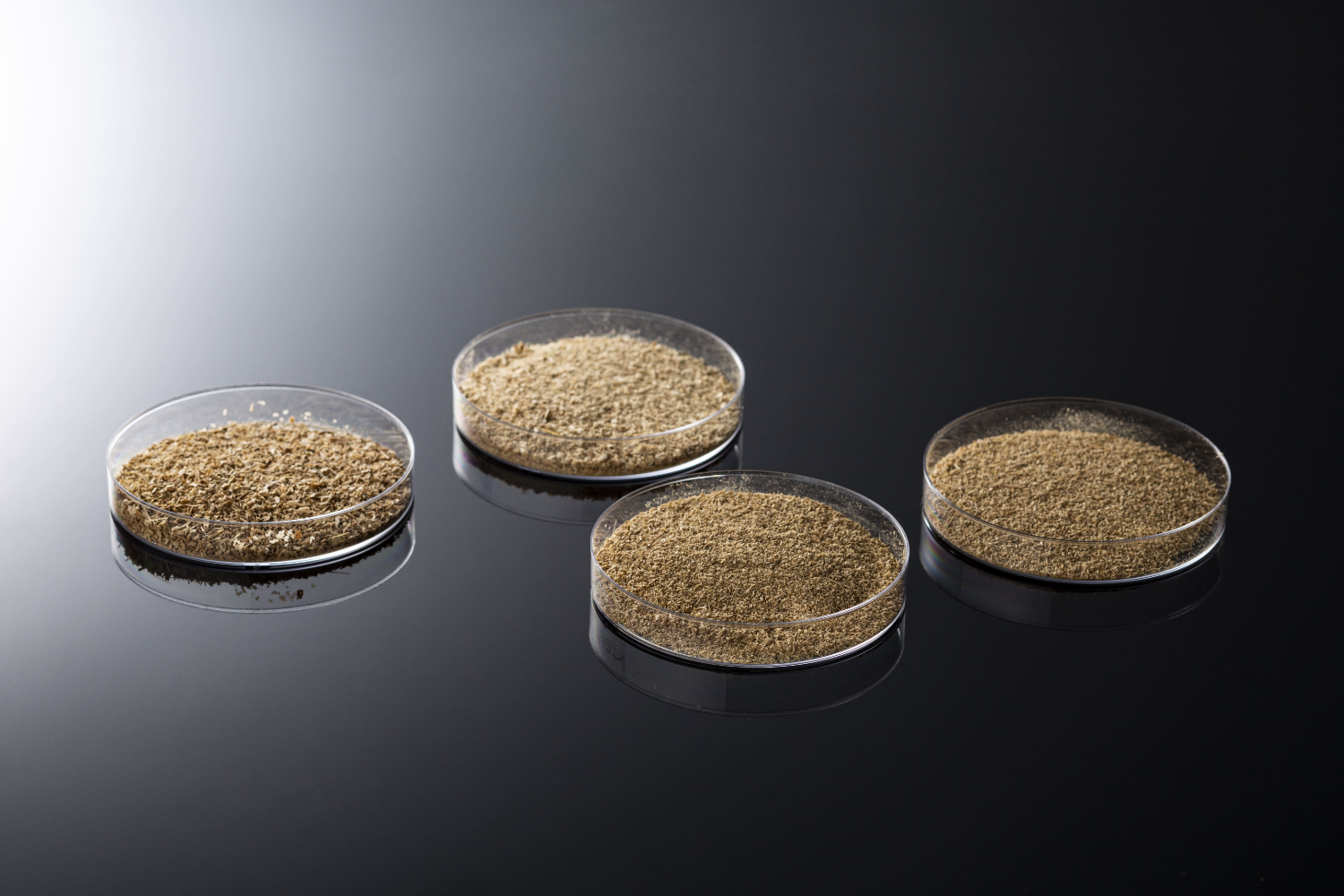 環境配慮型素材 タケックスバイオパウダーBP [竹粉末・バイオマス・原料]-株式会社タケックスラボ