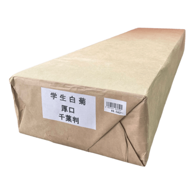 学生白菊書初め用紙 (厚口) 千葉版 1,000枚-協和貿易株式会社