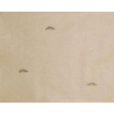 古筆臨書用紙 小島切 (清書用) 1枚 (29.4cm×36.3cm)-協和貿易株式会社