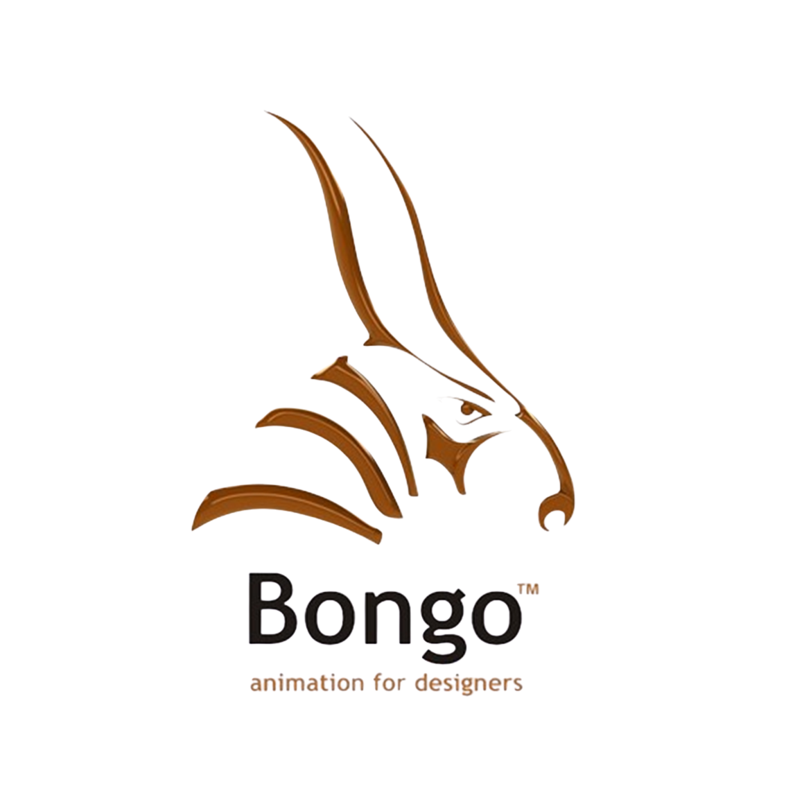 Bongo（ボンゴ）｜Rhino画面内でアニメーション動画作成-株式会社建築家コミュニティ