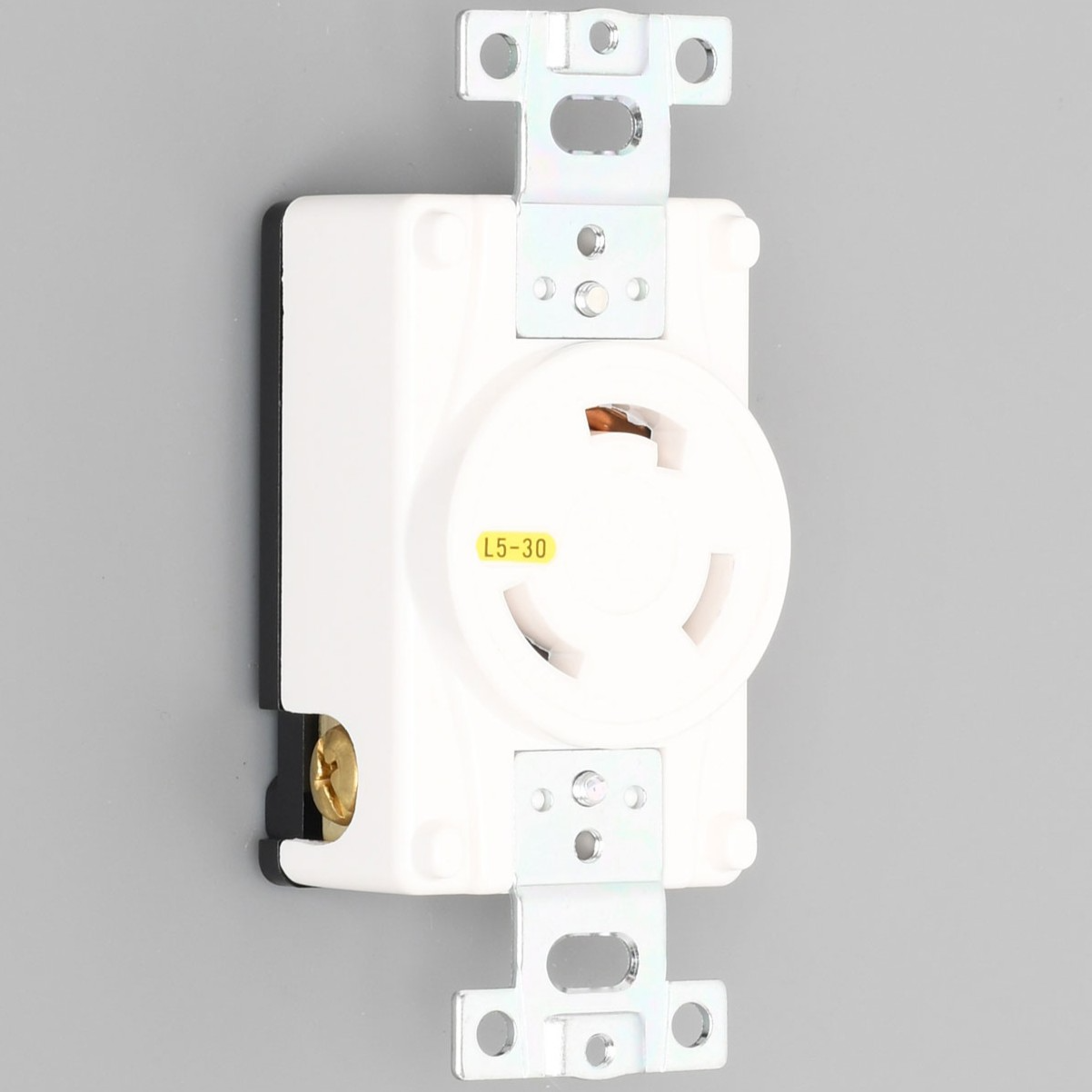 ACコンセント 埋込コンセント 30A-3310-L5-IV
