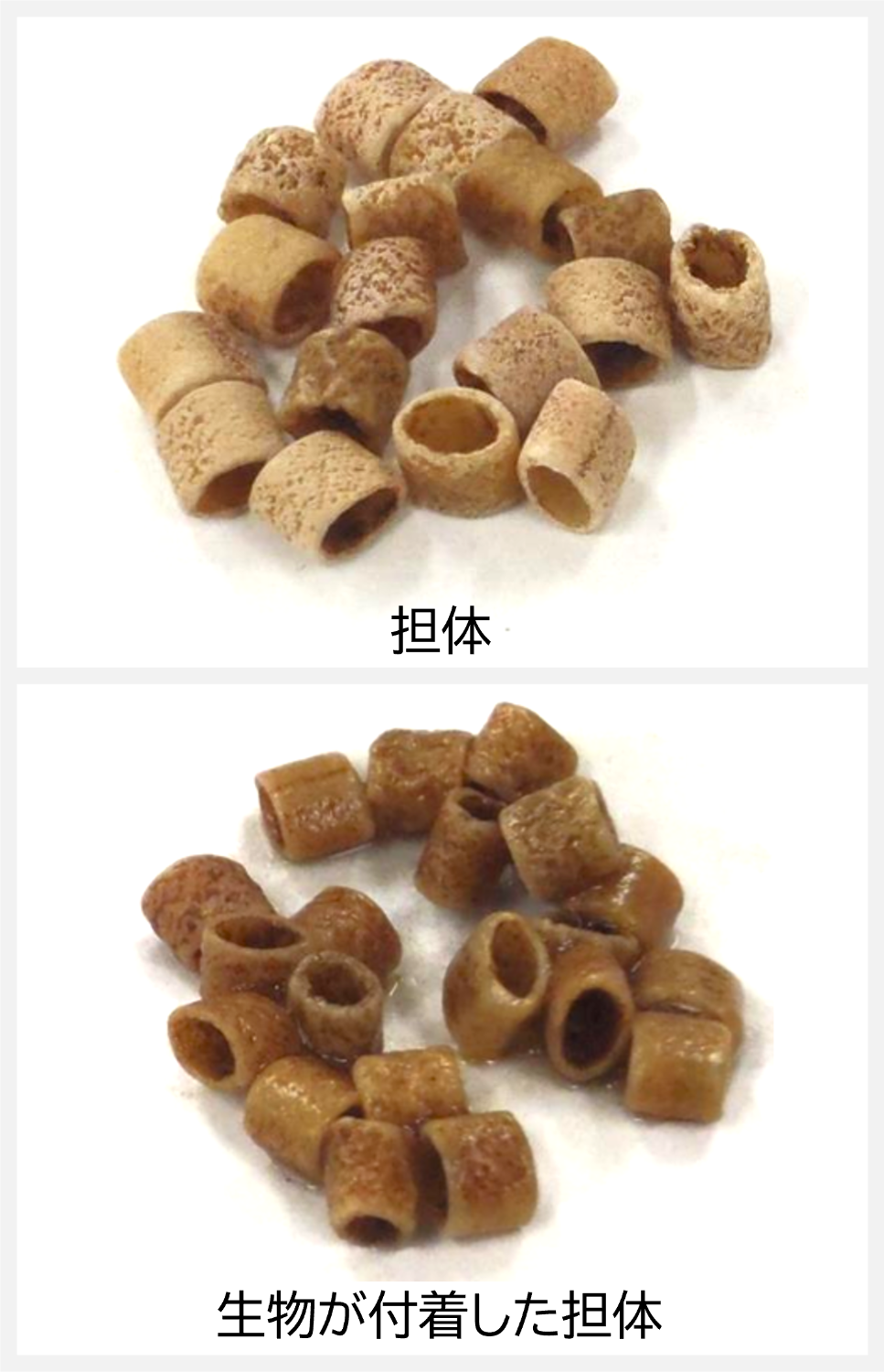 Removal divergent carrier treatment device removing pollution components in drainage-Kotobuki Environmental Equipment Co., Ltd.