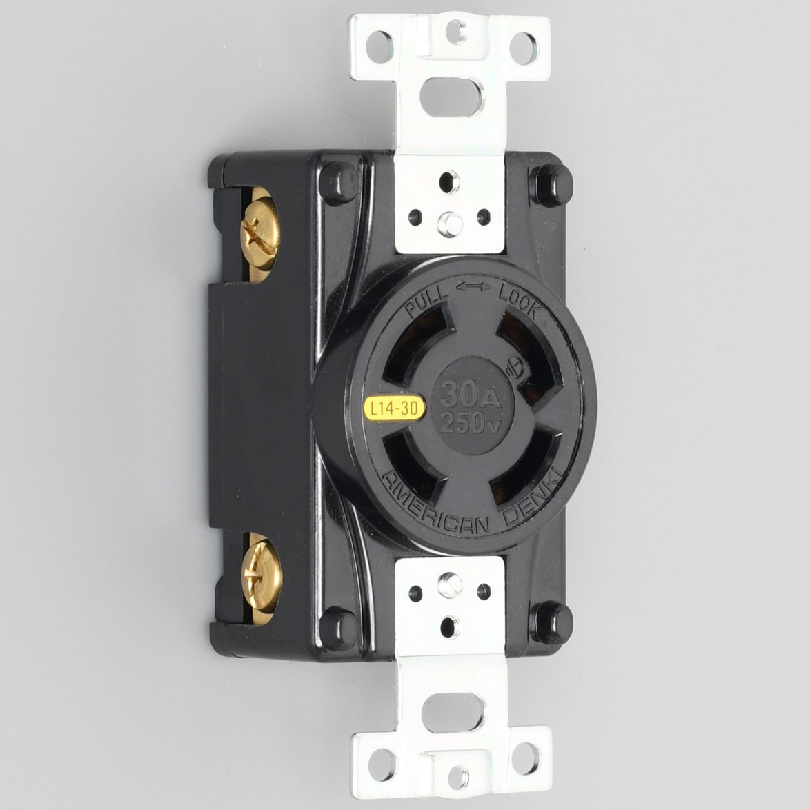 ACコンセント 埋込コンセント 30A-4310-L14